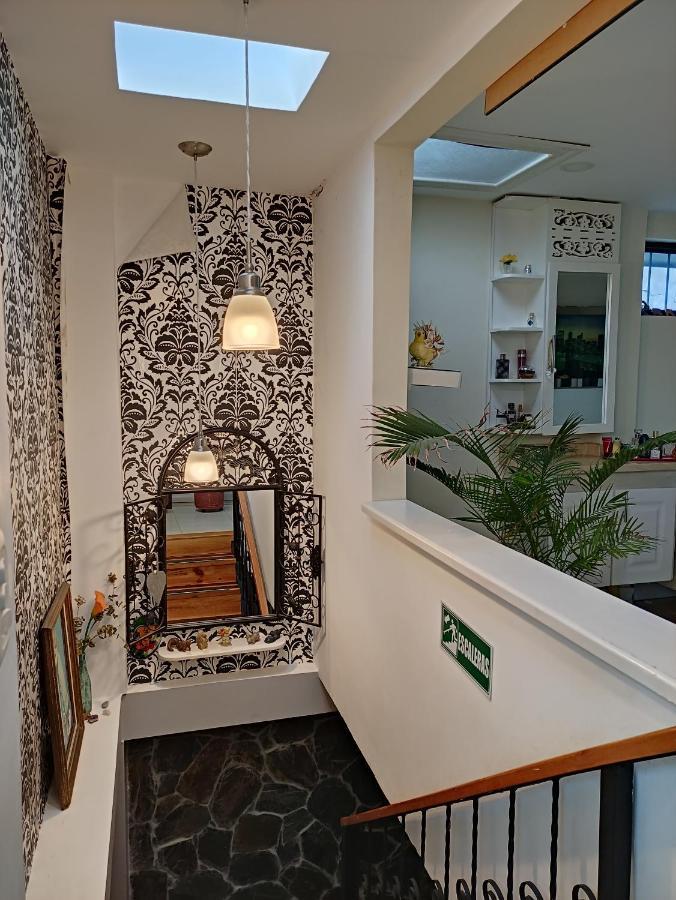 Los Andes Hostal Filandia Ngoại thất bức ảnh