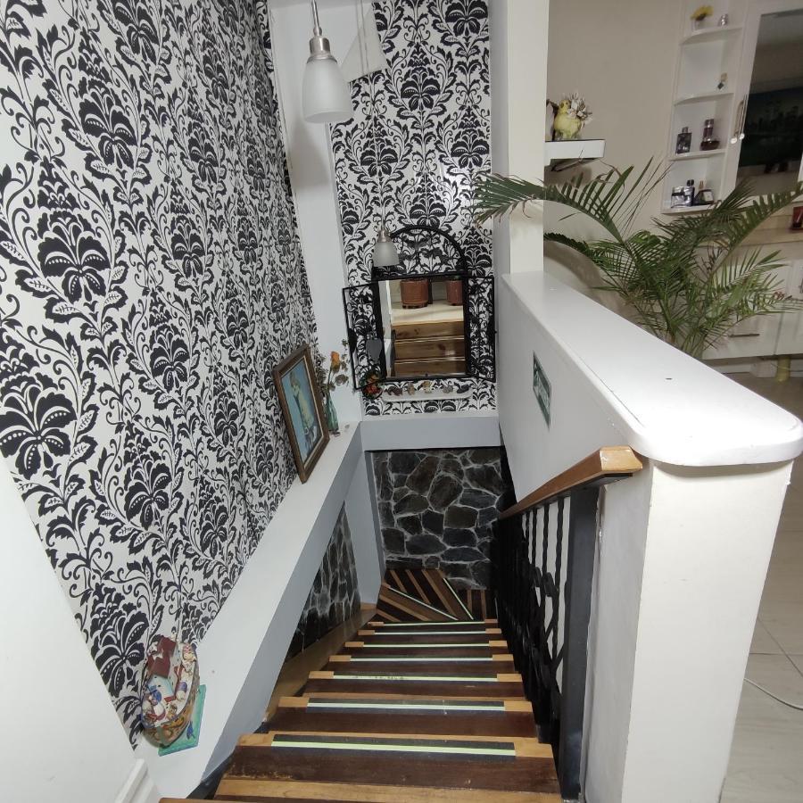 Los Andes Hostal Filandia Ngoại thất bức ảnh